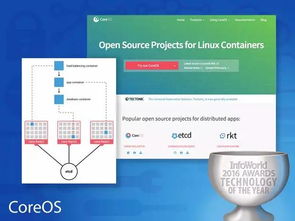 2023年度最佳硬件、軟件、開(kāi)發(fā)工具、云服務(wù)與數(shù)據(jù)處理存儲(chǔ)支持服務(wù)全景概覽